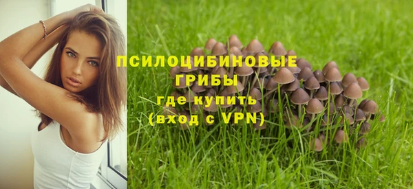 соль ск Беломорск