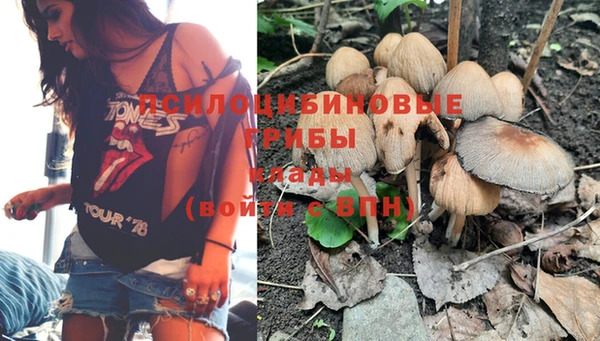 apvp Балабаново