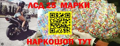 индика Славгород