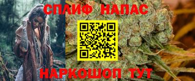 индика Славгород