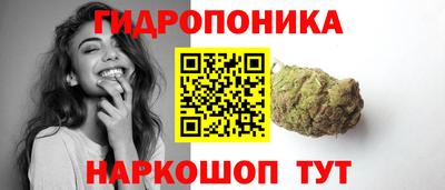 индика Славгород