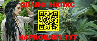 крисы Сланцы