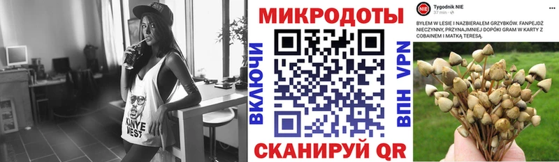 Галлюциногенные грибы мухоморы  кракен ТОР  Армавир 